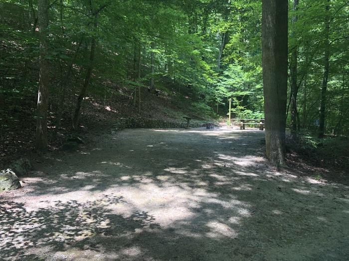 A photo of Site 009 of Loop CAVE MOUNTAIN LAKE FAMILY CAMP at CAVE MOUNTAIN LAKE FAMILY CAMP with Picnic Table, Fire Pit, Shade, Tent Pad, Lantern Pole