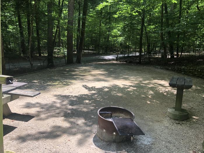 A photo of Site 009 of Loop CAVE MOUNTAIN LAKE FAMILY CAMP at CAVE MOUNTAIN LAKE FAMILY CAMP with Picnic Table, Fire Pit, Shade, Tent Pad, Lantern Pole