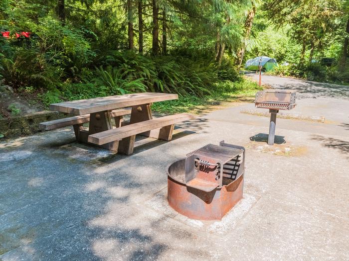 Campsite #30 - Picnic table, fire ring, BBQ grill and driveway.