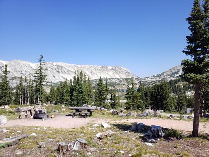 Medicine Bow from site 10