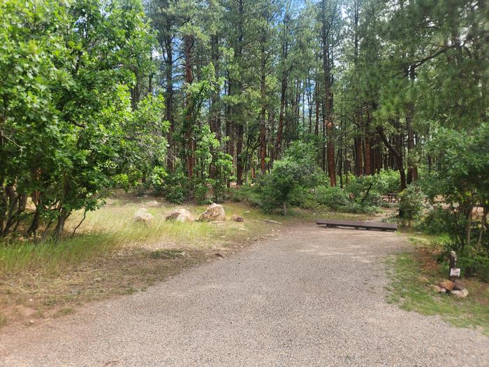 C1, back in spur with table and fire ring located behind site