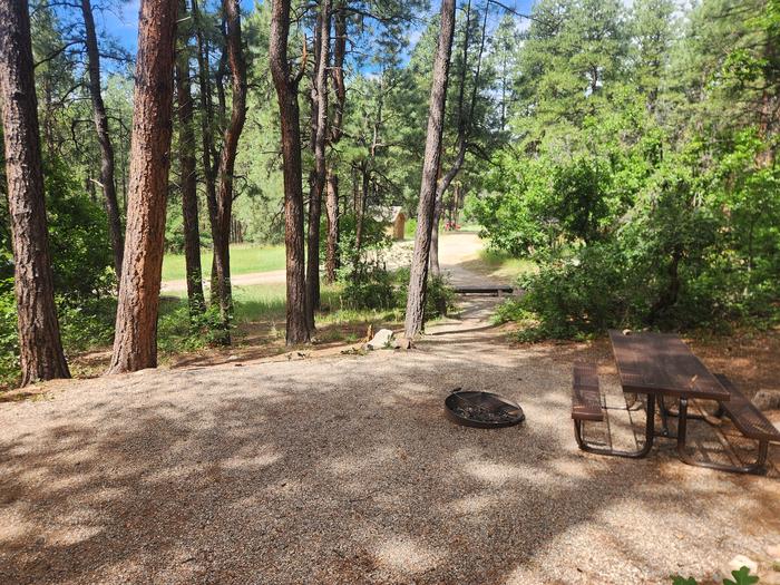 C1 viewed from picnic table back towards parking spur