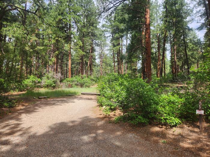 C7 Back-in Spur, picnic table to rear of site in private area