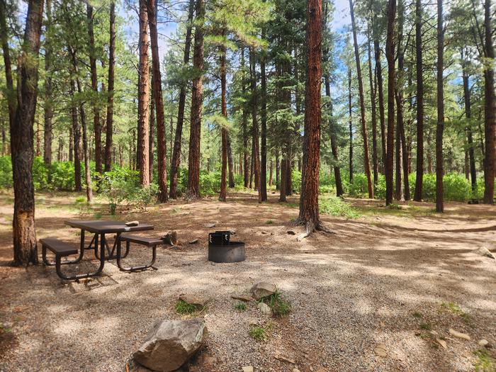 C7 picnic table, fire ring, and area for tent