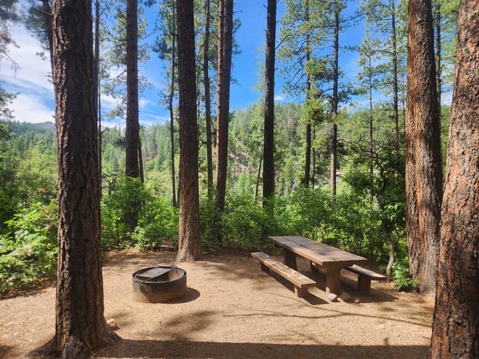 C8 Picnic table and fire ring located in trees with privacy