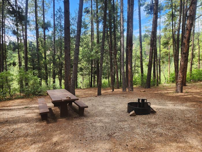 C9 Picnic table and fire ring nestled in pines