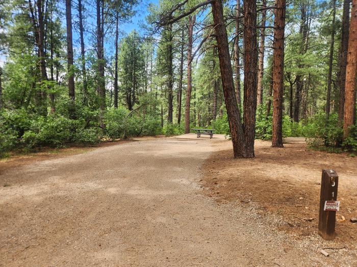 D1 back-in spur with picnic table, fire ring, and tent pad located to rear of site