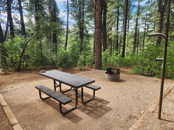 D1 picnic table area with fire ring