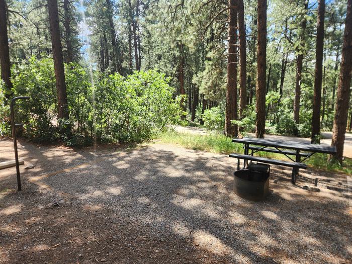 D5 picnic table and fire ring area