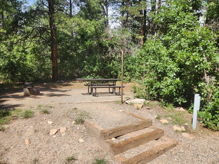 E6 elevated picnic table area with fire ring, electric pedestal on left of site