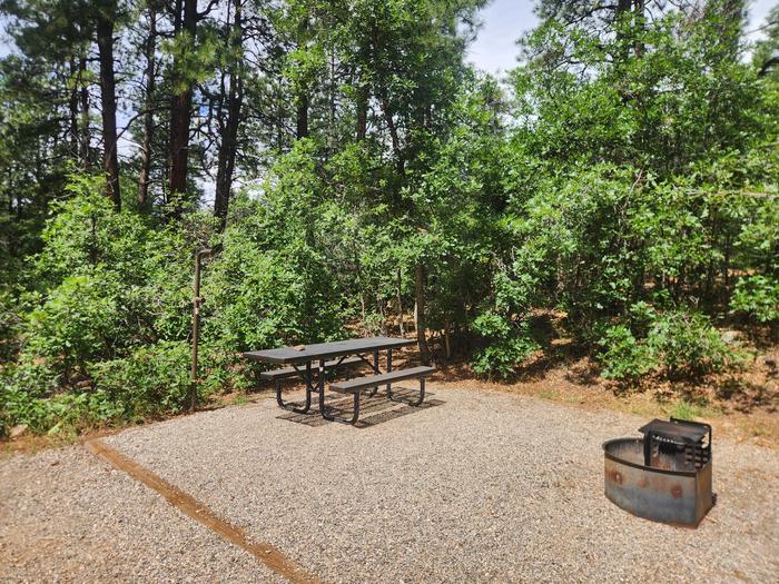 E12 picnic table and fire ring offers some privacy with trees around