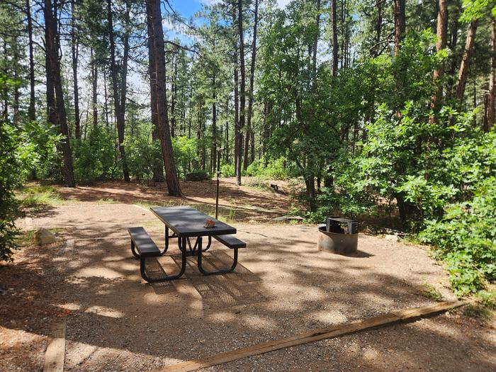 E11 picnic table, fire ring, and tent pad