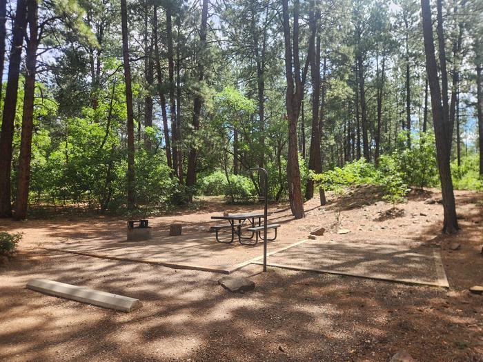 E13 picnic table, fire ring, and tent pad