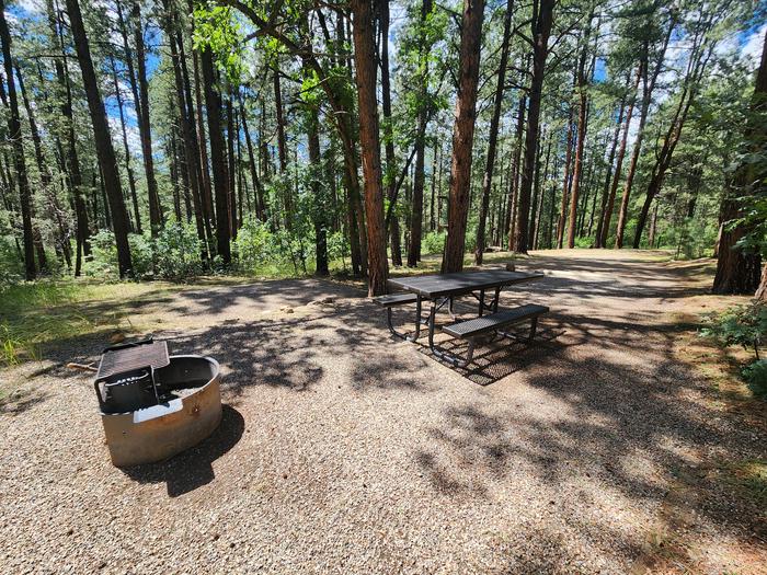 D3 picnic table, fire ring, and tent pad