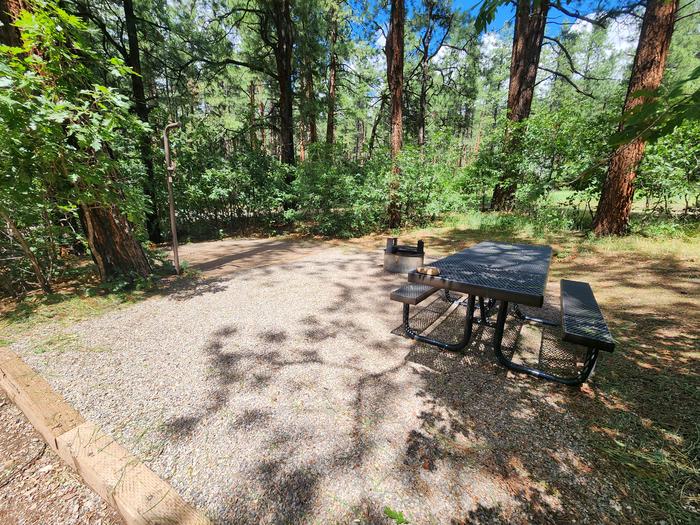 D4 Picnic table, fire ring, and tent pad area