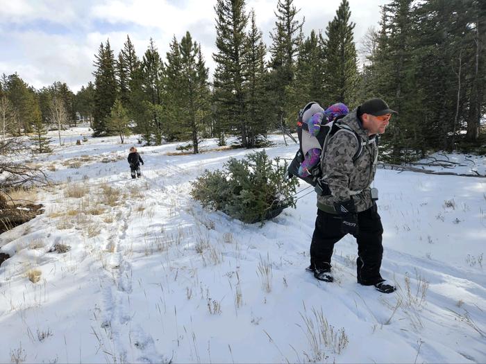 Dad pulls a sled with a freshly cut Christmas Tree on it while a baby sleeps in the pack on his back, and a young girl trails behindTaking the perfect Christmas Tree home!