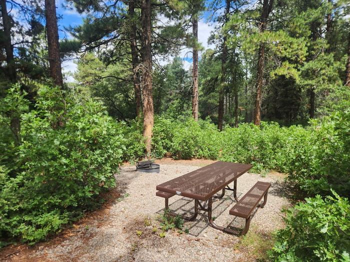 Picnic table and fire ring surrounded by trees- All sites first come, cash, check, or scan-payPicnic table and fire ring surrounded by trees - All sites first come, cash, check, or scan-pay