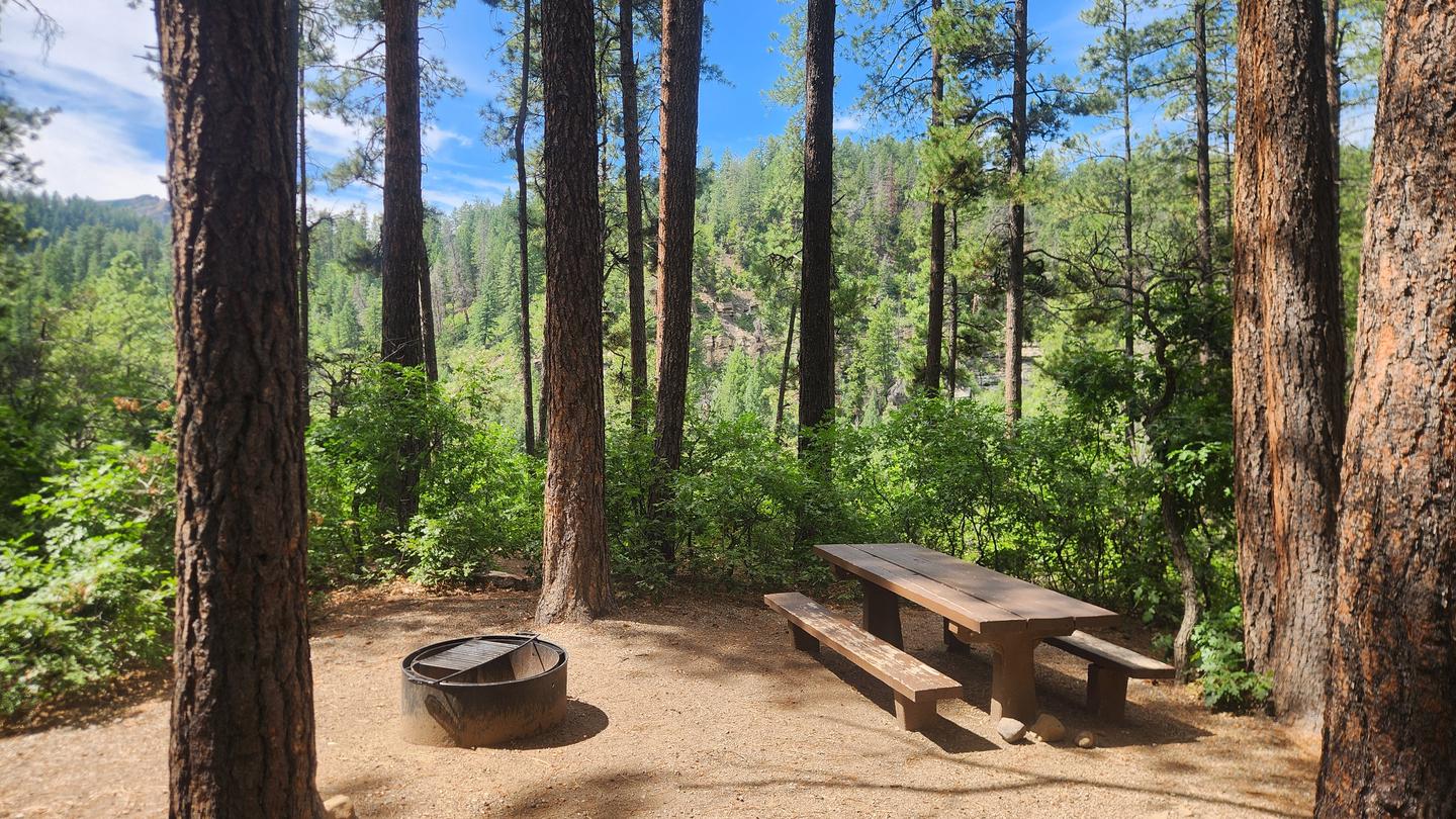 Picnic table and fire ring nestled amongst Ponderosa pines