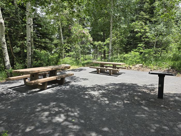 Preview photo of Nine Mile Picnic Site