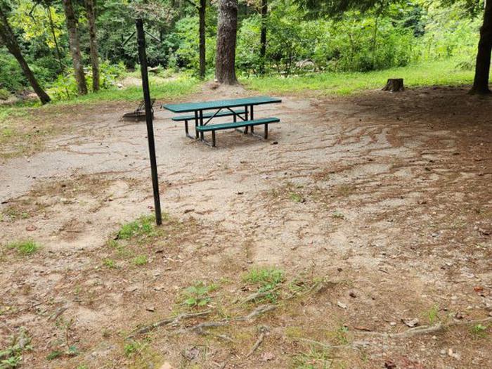 Welcome to site #7Another river front campsite at Tallulah River Campground site #7