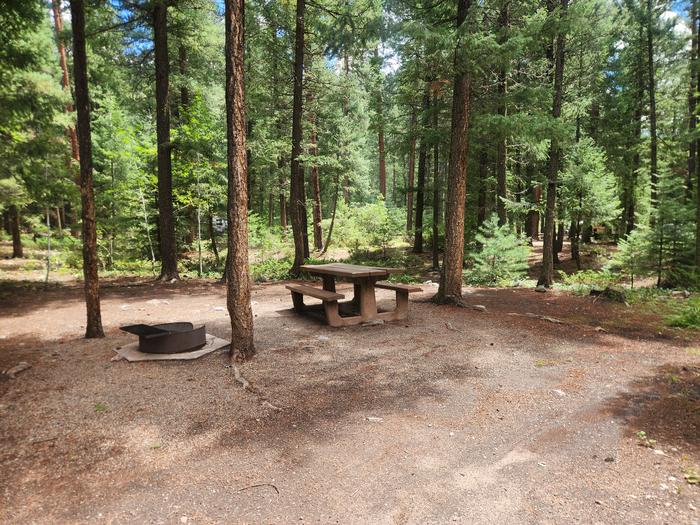 D3 Picnic table and fire ring nestled in the pines