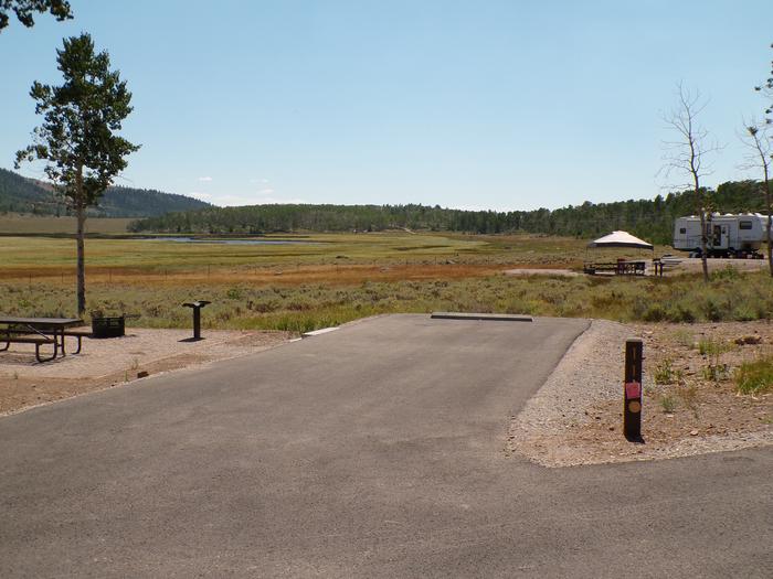 Doctor Creek Site #11Site #11