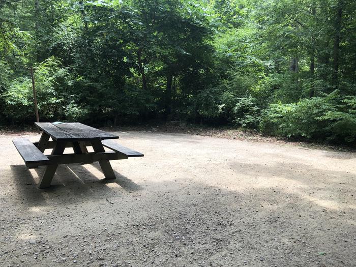 A photo of Site 026 of Loop CAVE MOUNTAIN LAKE FAMILY CAMP at CAVE MOUNTAIN LAKE FAMILY CAMP with Picnic Table, Shade, Tent Pad