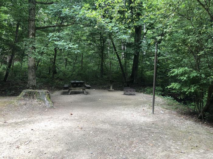 A photo of Site 004 of Loop CAVE MOUNTAIN LAKE FAMILY CAMP at CAVE MOUNTAIN LAKE FAMILY CAMP with Picnic Table, Fire Pit, Shade, Tent Pad, Lantern Pole