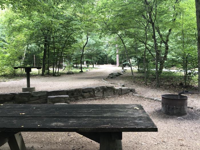 A photo of Site 002 of Loop CAVE MOUNTAIN LAKE FAMILY CAMP at CAVE MOUNTAIN LAKE FAMILY CAMP with Picnic Table, Fire Pit, Lantern Pole