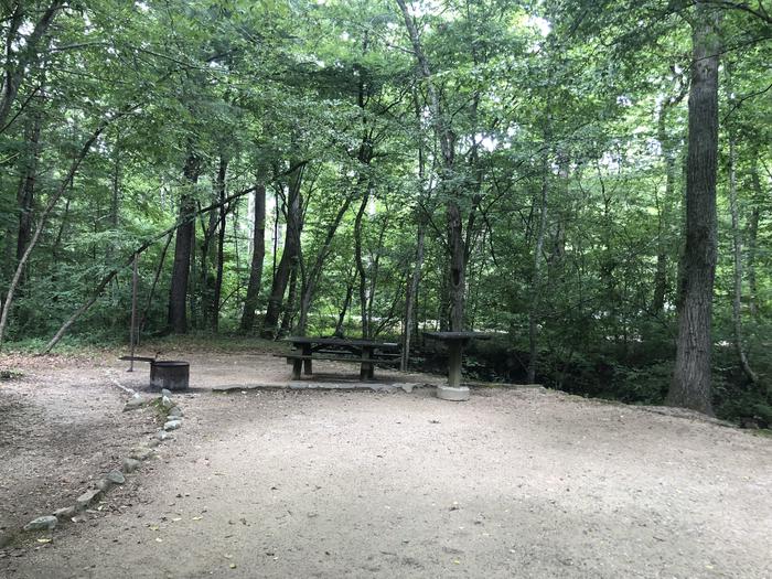 A photo of Site 002 of Loop CAVE MOUNTAIN LAKE FAMILY CAMP at CAVE MOUNTAIN LAKE FAMILY CAMP with Picnic Table, Fire Pit, Shade, Tent Pad, Lantern Pole