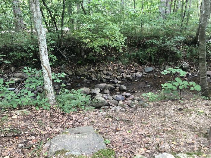 A photo of Site 002 of Loop CAVE MOUNTAIN LAKE FAMILY CAMP at CAVE MOUNTAIN LAKE FAMILY CAMP with No Amenities Shown