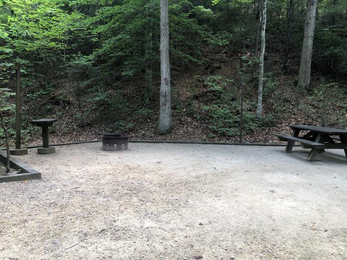 A photo of Site 029 of Loop B at CAVE MOUNTAIN LAKE FAMILY CAMP with Picnic Table, Fire Pit, Shade, Tent Pad, Lantern Pole