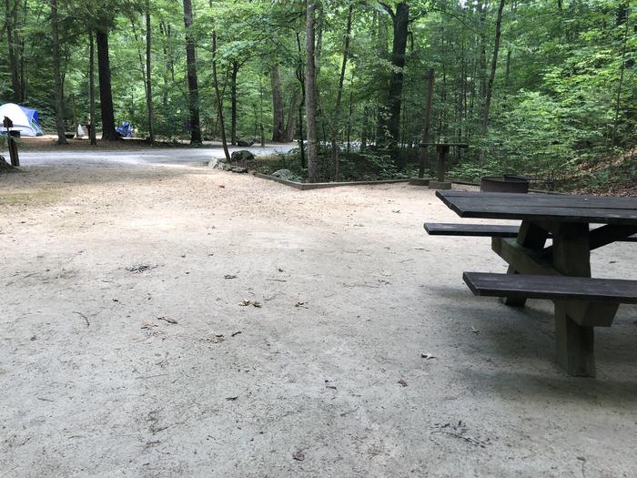 A photo of Site 029 of Loop B at CAVE MOUNTAIN LAKE FAMILY CAMP with Picnic Table, Shade, Tent Pad