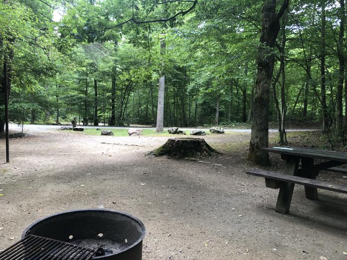 A photo of Site 004 of Loop CAVE MOUNTAIN LAKE FAMILY CAMP at CAVE MOUNTAIN LAKE FAMILY CAMP with Fire Pit, Shade, Tent Pad