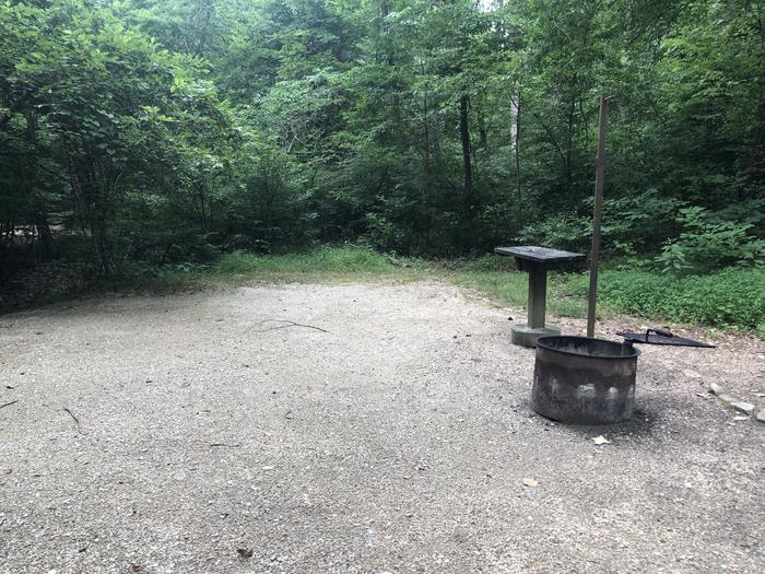 A photo of Site 003 of Loop CAVE MOUNTAIN LAKE FAMILY CAMP at CAVE MOUNTAIN LAKE FAMILY CAMP with Fire Pit, Shade, Tent Pad, Lantern Pole