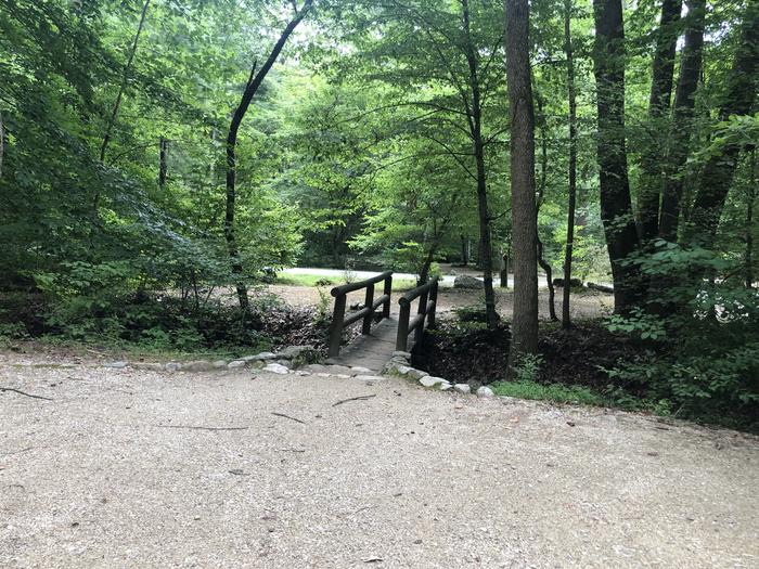 A photo of Site 003 of Loop CAVE MOUNTAIN LAKE FAMILY CAMP at CAVE MOUNTAIN LAKE FAMILY CAMP with No Amenities Shown