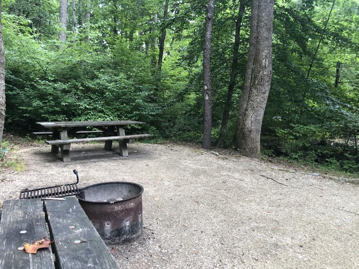 A photo of Site 003 of Loop CAVE MOUNTAIN LAKE FAMILY CAMP at CAVE MOUNTAIN LAKE FAMILY CAMP with Picnic Table, Fire Pit