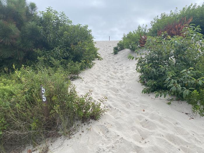 Oceanside site 55 in August 2024.  View of the pathway leading up to the campsite.  Signpost at the entrance of the pathway says "55" on it.  Brush surrounds the pathway.  Oceanside site 55 - August 2024.