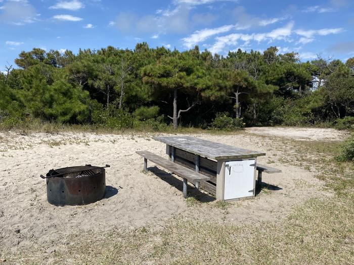 Oceanside site 67 in August 2024.  View of the black metal fire ring and wooden picnic table on the sand.  Trees and brush surround the campsite.Oceanside site 67 - August 2024.