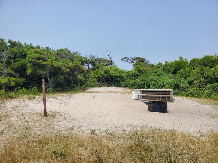 Oceanside site 67 in July 2023.  View of the wooden picnic table and black metal fire ring on the sand.  Signpost nearby says "67" on it.  Trees and brush surround the campsite.Oceanside site 67 - July 2023.