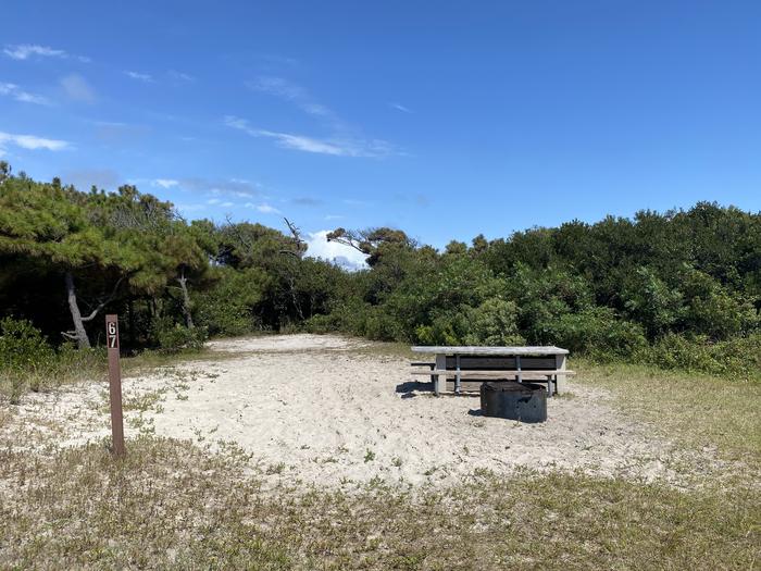 Oceanside site 67 in August 2024.  View of the wooden picnic table and black metal fire ring on the sand.  Signpost nearby says "67" on it.  Trees and brush surround the campsite on the horizon.Oceanside site 67 - August 2024.