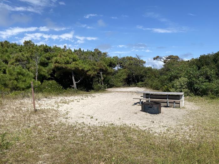 Oceanside site 67 in August 2024.  View of the black metal fire ring and wooden picnic table on the sand.  Signpost nearby says "67" on it.  Trees and brush surround the campsite on the horizon.Oceanside site 67 - August 2024.