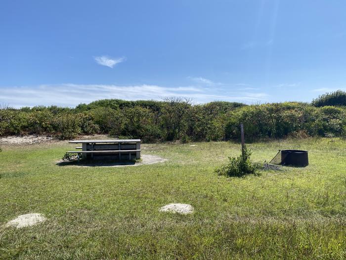 Oceanside site 68 in August 2024.  View of the wooden picnic table and black metal fire ring on the grass.  Signpost nearby says "68" on it.  Brush behind the campsite along the horizon.Oceanside site 68 - August 2024.