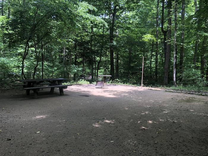 A photo of Site 017 of Loop CAVE MOUNTAIN LAKE FAMILY CAMP at CAVE MOUNTAIN LAKE FAMILY CAMP with Picnic Table, Fire Pit, Lantern Pole