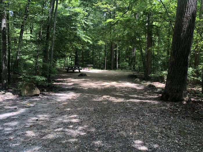 A photo of Site 017 of Loop CAVE MOUNTAIN LAKE FAMILY CAMP at CAVE MOUNTAIN LAKE FAMILY CAMP with Shade, Tent Pad