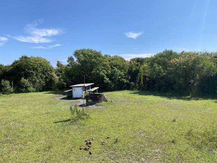 Oceanside site 70 in August 2024.  View of the wooden picnic table and black metal fire ring on the grass.  Signpost is in front of them and says "70" on it.  Brush surrounds the campsite.Oceanside site 70 in August 2024.