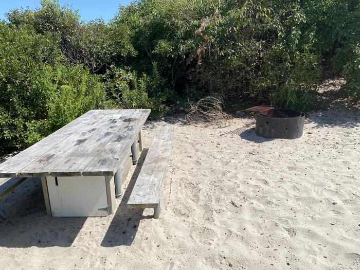 Oceanside site 78 in August 2024.  Close up view of the wooden picnic table and black metal fire ring on the sand.  Brush surrounds the campsite.Oceanside site 78 - August 2024.