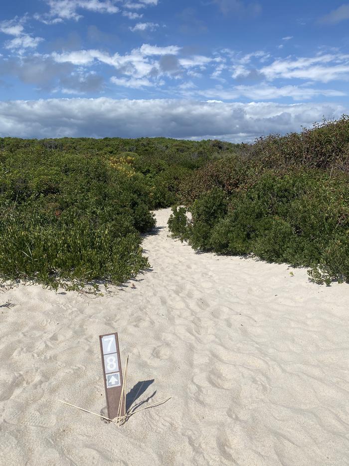 Oceanside site 78 in August 2024.  View of the partially buried signpost that says "78" on it.  There is an arrow on the signpost pointing up.  A sandy pathway is ahead surrounded by brush.Oceanside site 78 in August 2024.