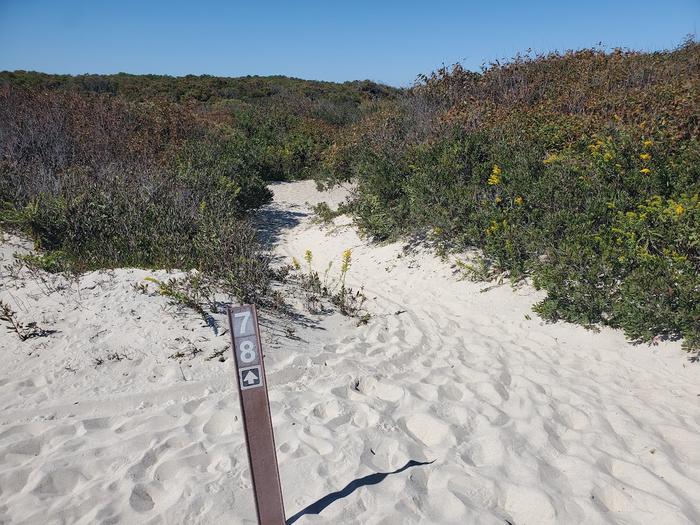 Oceanside site 78 in October 2023.  View of the signpost at the entrance of the campsite.  Signpost says "78" on it with an arrow pointing upward.  Sandy pathway leading straight ahead is surrounded by brush.Oceanside site 78 - October 2023.