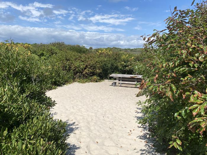 Oceanside site 78 in August 2024.  View of the wooden picnic table on the sand. Brush surrounds the campsite.Oceanside site 78 - August 2024.